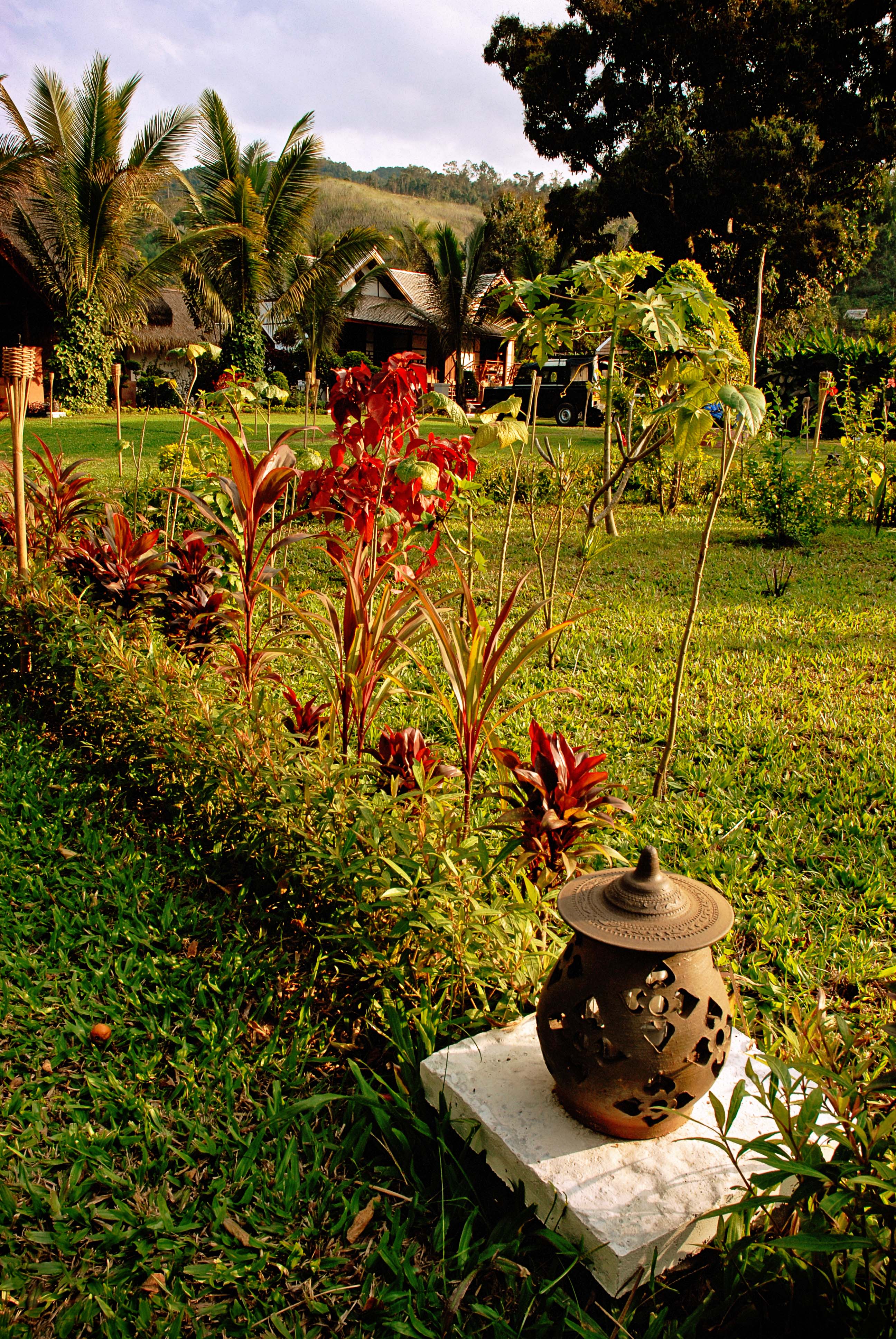 garden3
