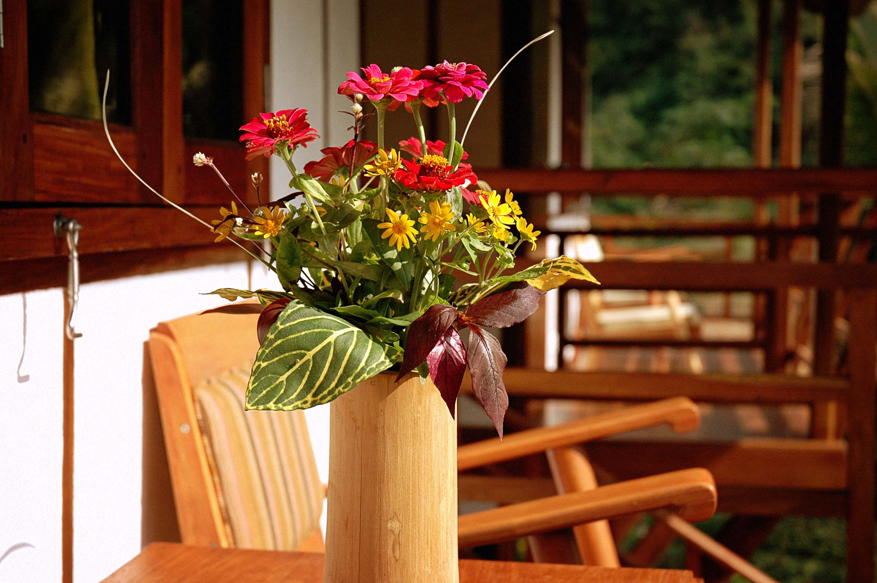 terrace1