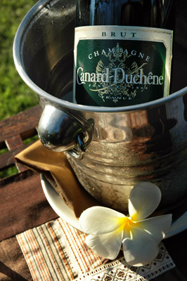degustation champagne